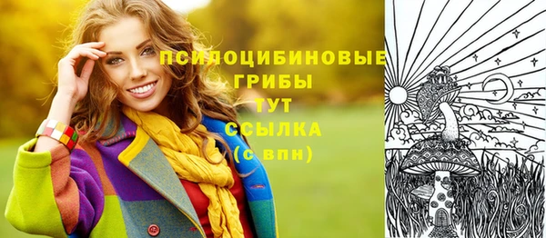 шишки Балахна